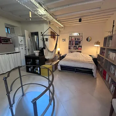 Charming Duplex In Saint-germain-des-pres